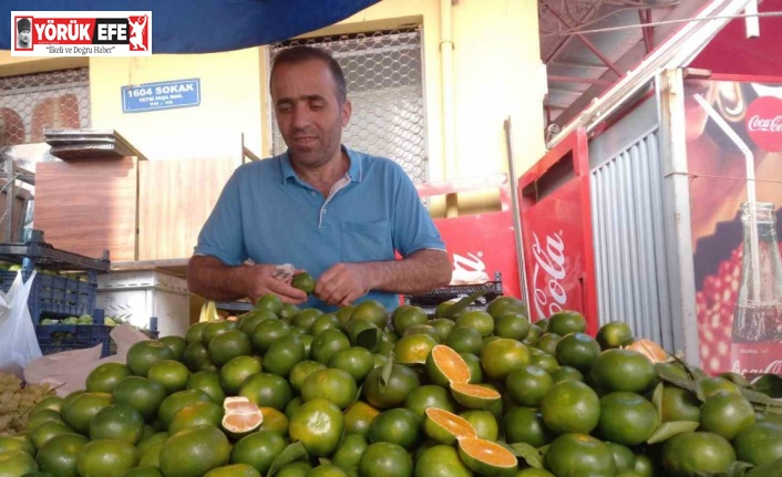 Mandalina Aydın’daki semt pazarındaki tezgahlarda yerini aldı