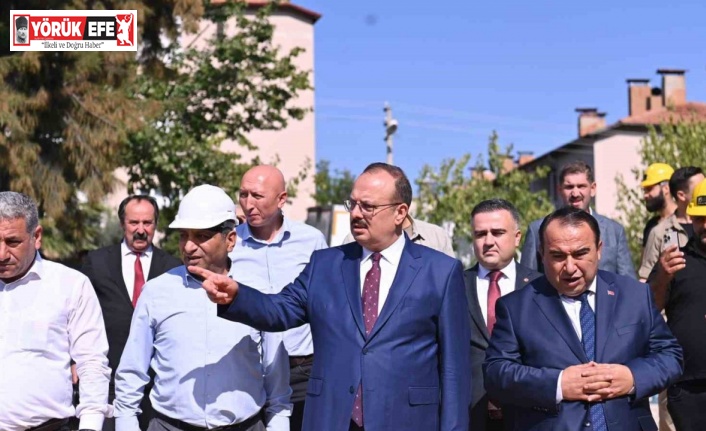 Aydın Valisi Canbolat, Bozdoğan’da incelemelerde bulundu