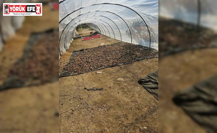 Motosikleti sazlığa sakladılar, suçüstü yakalandılar