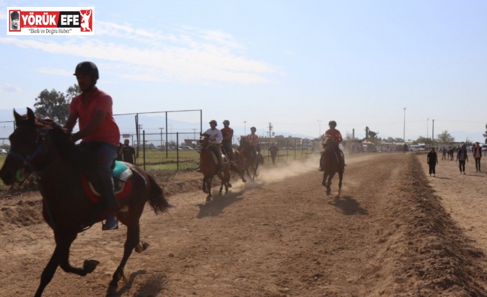 Nazilli’de rahvan atlar birincilik için yarıştı