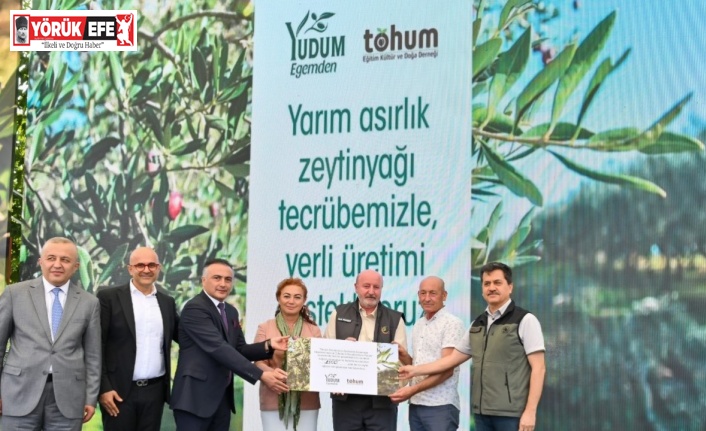 Türkiye’deki delice zeytinleri ekonomiye kazandırılmaya devam ediyor