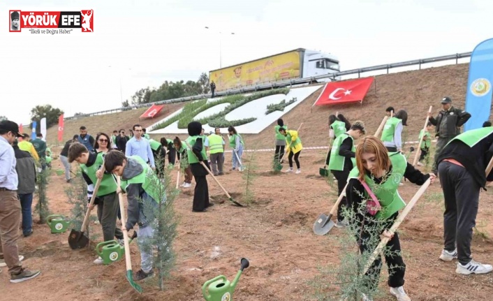 Aydın’da 2 bin 23 mavi servi fidanı toprakla buluştu