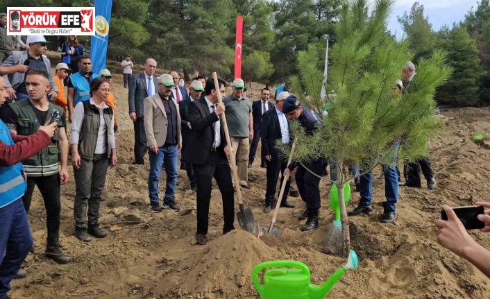 Cumhuriyete Nefes etkinliğinde binlerce fidan toprakla buluştu