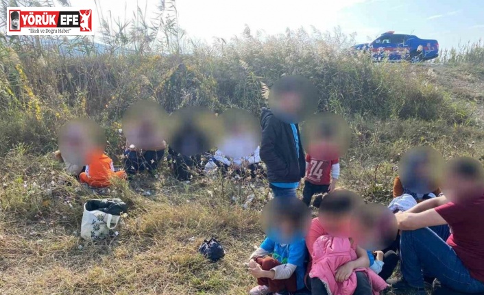Pamuk tarlasına gizlenmiş düzensiz göçmenler yakalandı