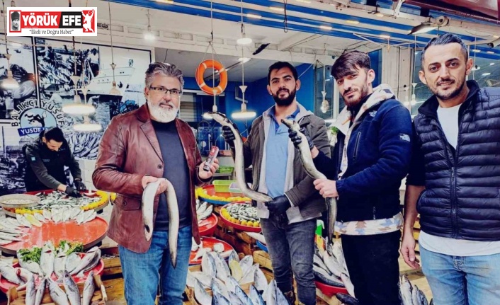 Yılan balıkları göçleri kadar besin değerleri ile de ilgi çekmeye başladı