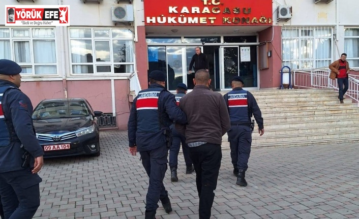 Zeytinyağı dolandırıcıları Aydın jandarmasına takıldı: 3 tutuklama