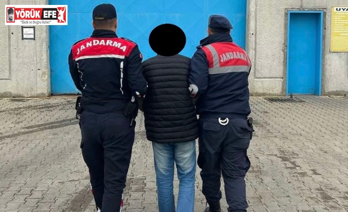 Aydın jandarmasında eş zamanlı operasyon: 35 kişi yakalandı