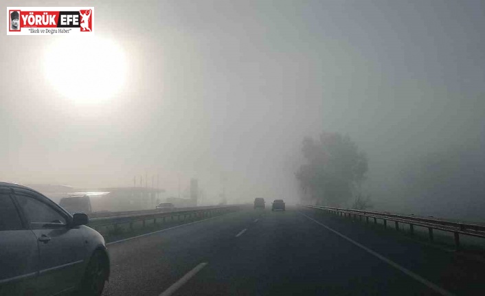 Aydın’da ulaşıma sis engeli