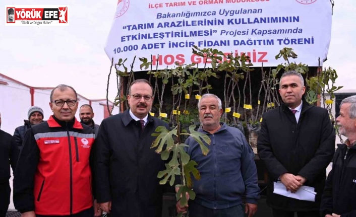 Aydın’da üreticilere 10 bin adet sarı lop incir fidanı dağıtıldı