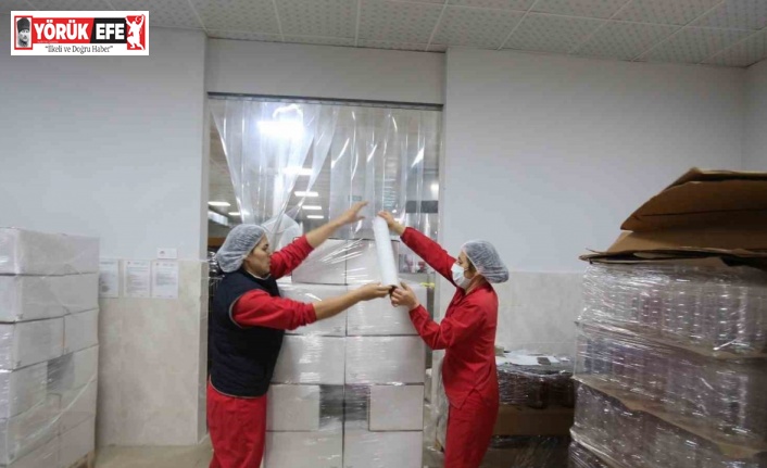 Efeler’in ürünleri dünya pazarına açıldı