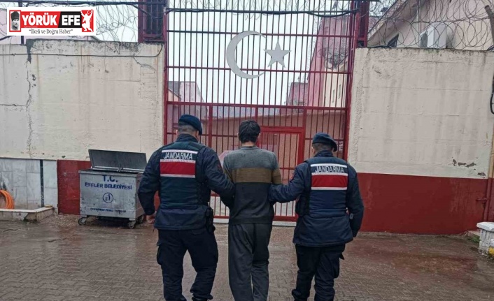 İş yeri hırsızlığı şüphelileri jandarmadan kaçamadı