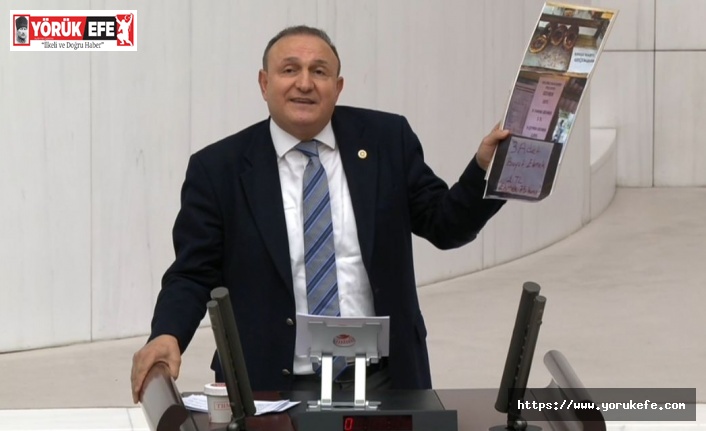İYİ Parti Aydın Milletvekili Karakaş, TBMM Genel Kurulu’nda bütçe konuşması yaptı