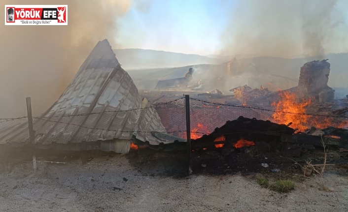 Karacasu’da çıkan yangında iki ev küle döndü
