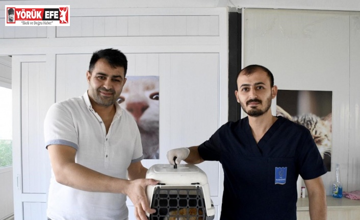 Kuşadası’nda minik patili can dostların sağlığı emin ellerde