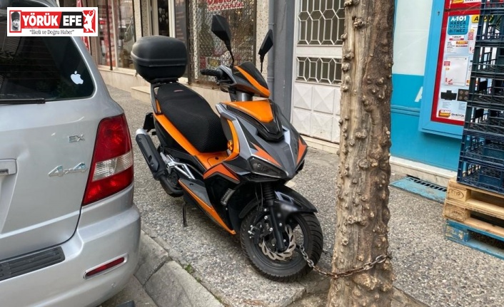 Motoru çalınmasın diye ağaca bağladı