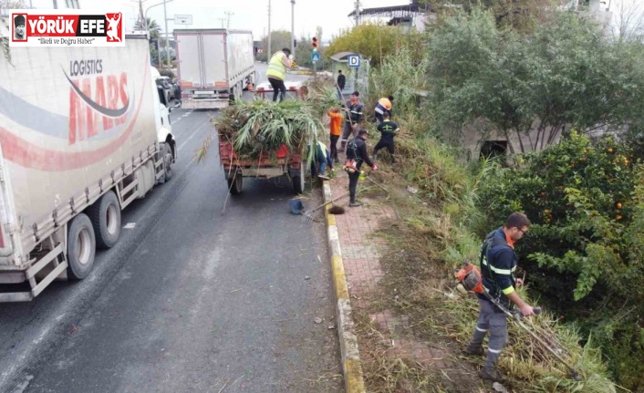 Nazilli’de temizlik ekipleri karayolu kenarlarını temizledi