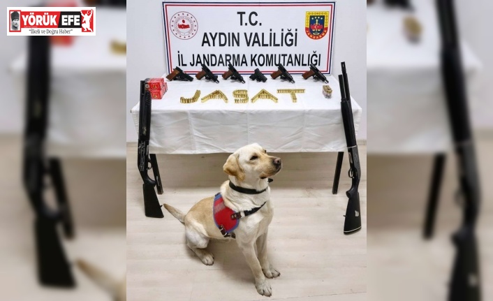 Söke’de kaçak silah operasyonu