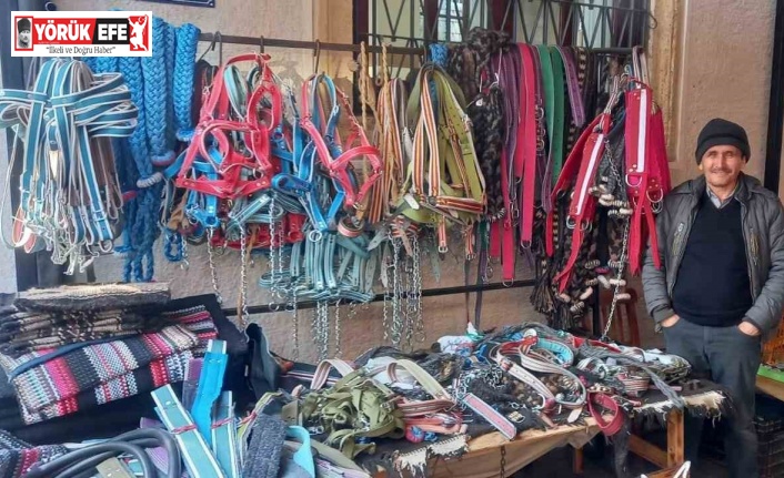 Zeytinde ’yok yılı’ urgancıları zora soktu