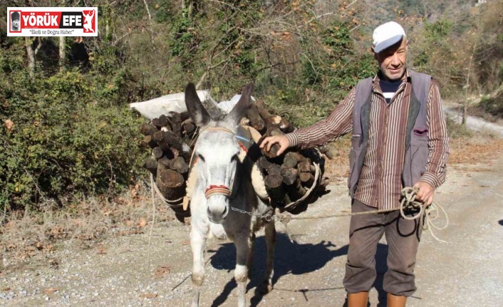 Araç kullanamadığı için eşekle yük çekiyor