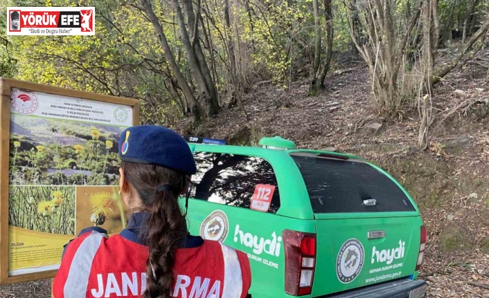 Bu bitkileri koparmanın cezası 245 bin TL