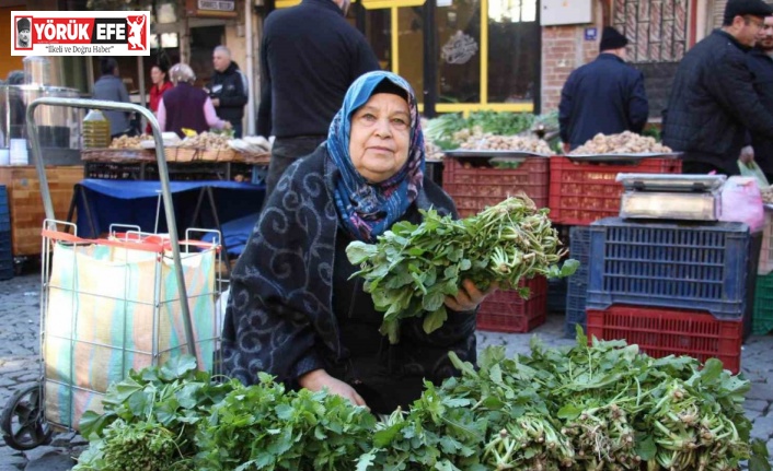 Bu otlar sadece Ege pazarında bulunuyor