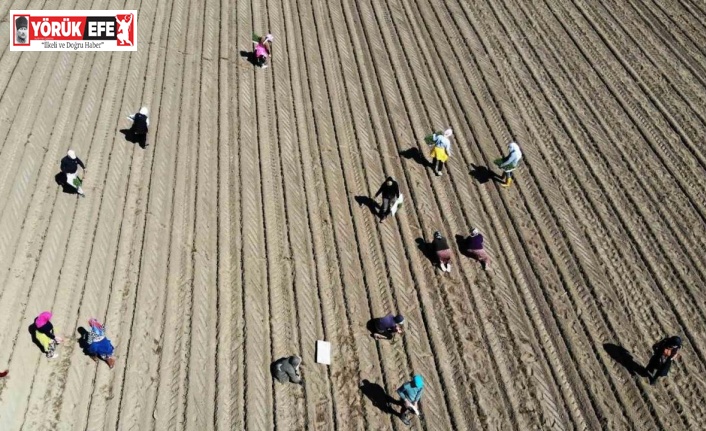 Çiftçilerin destek ödemeleri başladı