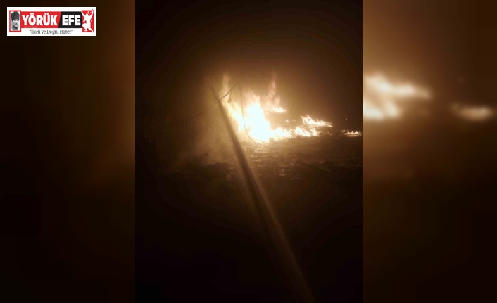 Çine’deki turşu fabrikasında yangın