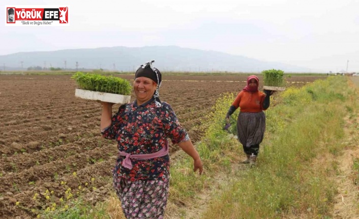 Efeler’de ’Yüzde Yüz Kadın Emeği Tarımsal Ürün Fabrikası’ Türkiye’ye örnek oluyor
