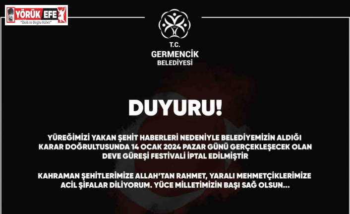 Germencik Deve Güreşi Festivali iptal edildi