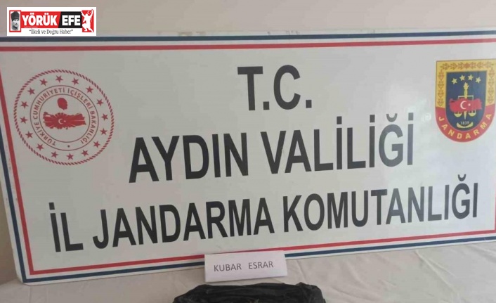 Aydın’da jandarma ekipleri uyuşturucuya geçit vermiyor