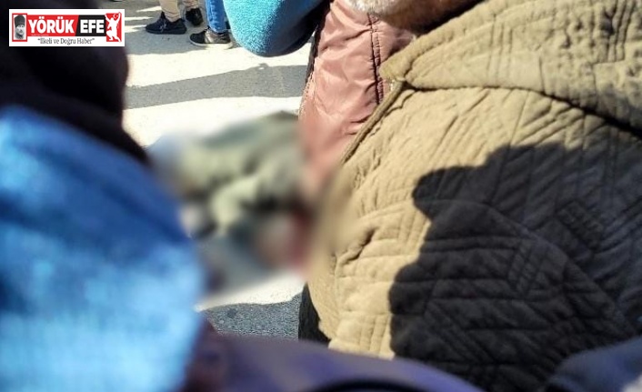 Aydın’da kamyonun çarptığı şahıs hayatını kaybetti