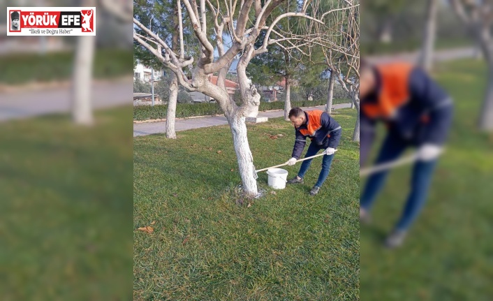 Buharkent Millet Bahçesi yaza hazırlanıyor