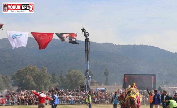 Pehlivan develer Bağarası’nda güreşti