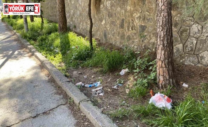 Topyatağı değil ’çöpyatağı’ varyantı