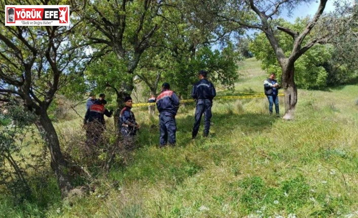 Aydın’da bir kişi ağaçta asılı halde bulundu