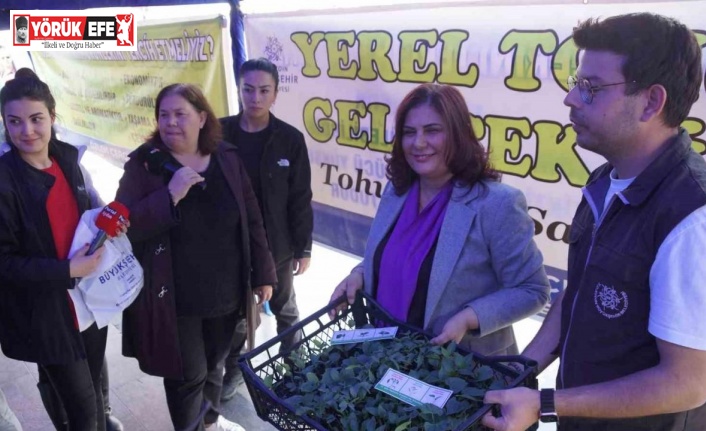 Aydınlılar ata tohumu fidelerini Başkan Çerçioğlu’nun elinden aldı