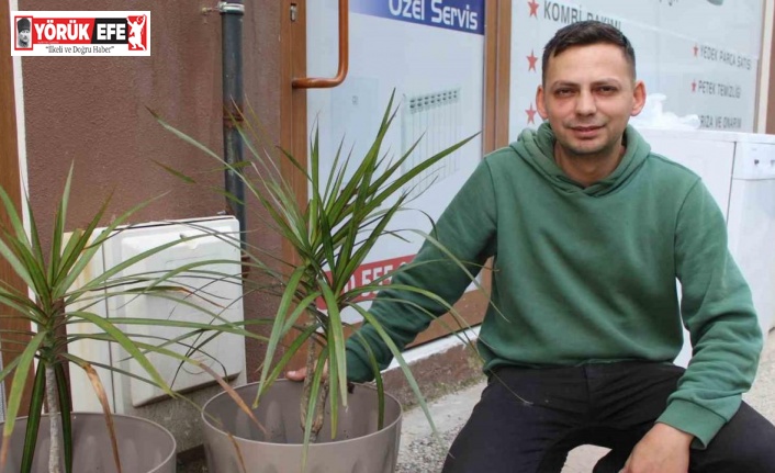 Esnafın çağrısını duyan hırsız, çaldığı süs bitkisini geri getirdi