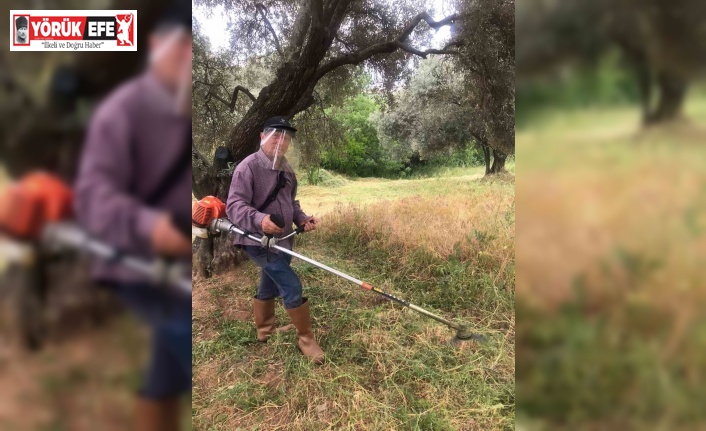 Aydın’da kuru otlar temizleniyor