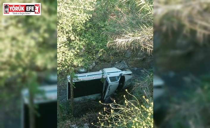 Direksiyon hakimiyetini kaybeden kamyonet dereye uçtu  2 yaralı