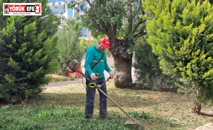 Mahalle sakinlerini istedi, park bahçeler temizlendi