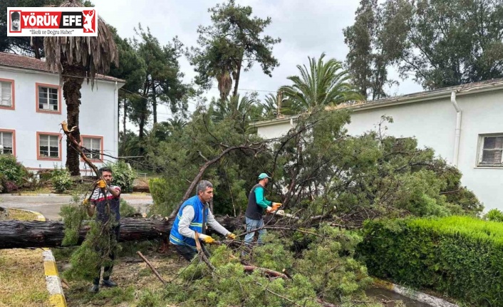 Nazilli Belediyesi’nden eş zamanlı müdahale