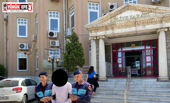 Terör örgütü propagandası yapan şahıs yakalandı