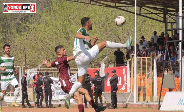 TFF 3. Lig: Efeler 09 SFK: 1 - Elazığspor: 1