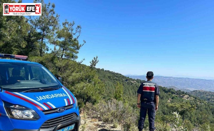 Aydın’da orman yangınlarına karşı yoğun tedbirler alınıyor