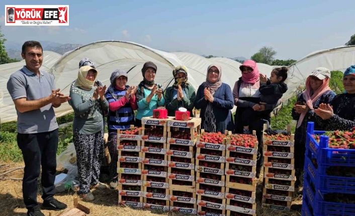 İşçi bayramını meydanda değil, tarlada kutladılar