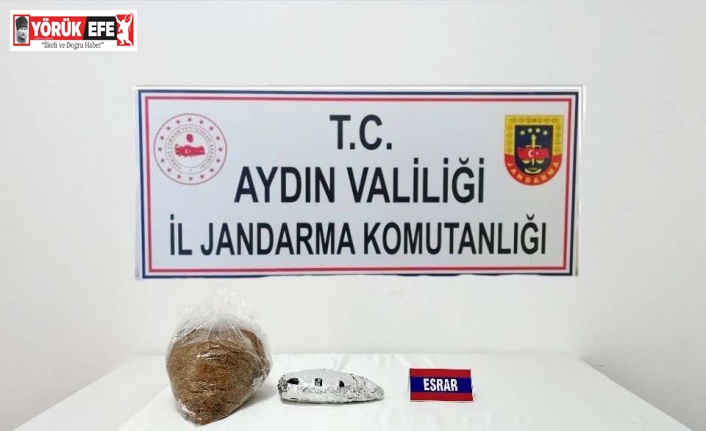 Uyuşturucu ile yolculuk hassas buruna takıldı