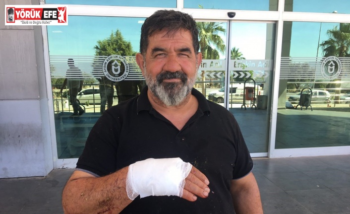 Acemi kasaplar hastanelik oldu