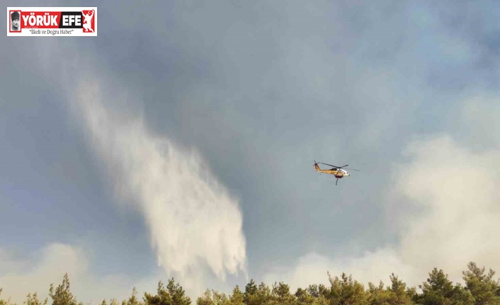 Aydın Valisi Canbolat: "Yangını kontrol altına almak için uğraşıyoruz"