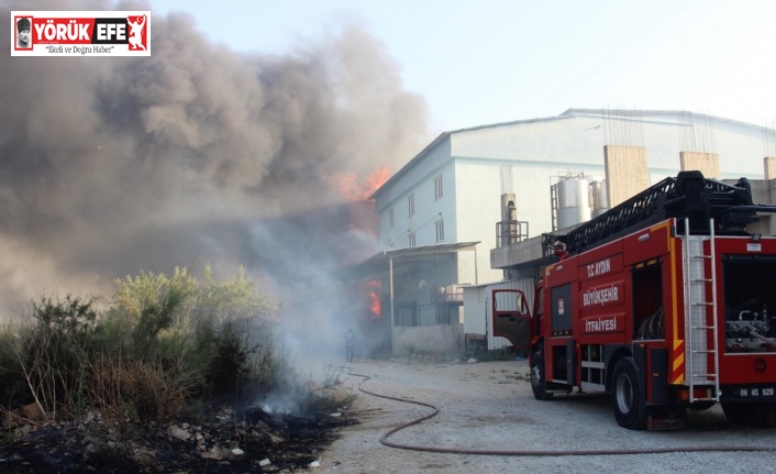 Aydın’da dumanlar gökyüzünü kapladı