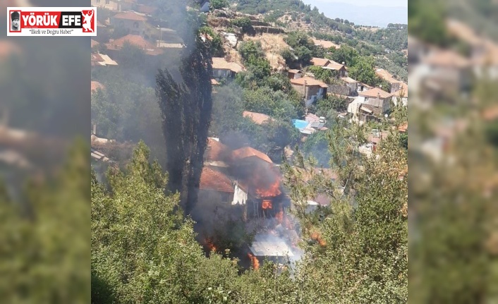 Aydın’da iki ayrı noktada yangın çıktı